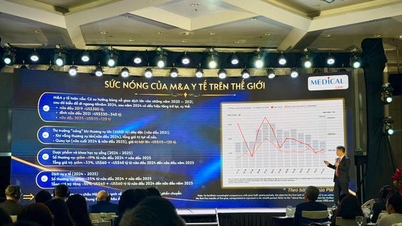מיזוגים ורכישות - הזדמנות למשיכת הון לגישה לשירותי רפואה בינלאומיים בווייטנאם