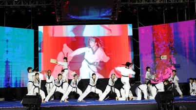 ホーチミン市国際武術祭2025：ベトナム武術 - 平和をつなぐ