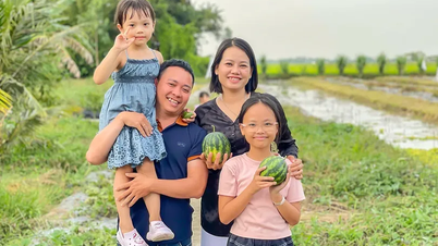 Uyumlaştırmayı anlamak