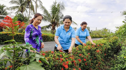5 hayır ve 3 temizlikçiden oluşan bir aile kurmak için el ele verin