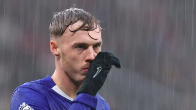 הכוכב קול פאלמר נפצע בצורה מגוחכת