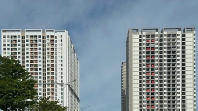 В жилом доме FPT Plaza 4 выставлены на продажу 1395 квартир.