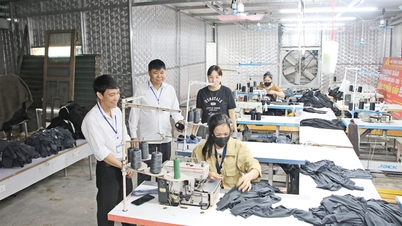 Diversificatie van de levensomstandigheden en het creëren van nieuwe banen in het thuisland van Dai Son