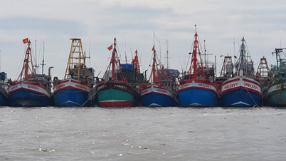 Jabatan Pertanian dan Alam Sekitar mencadangkan aktiviti untuk meraikan ulang tahun ke-50 hubungan diplomatik dengan Thailand dan Filipina.