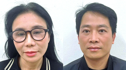 체인점 주인이 체포되기 전, 메일리사는 86~89%라는 희귀한 이익 마진으로 모든 사람을 놀라게 했습니다.