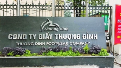 하노이 인민위원회가 자본을 매각하고, 투옹딘 슈즈가 주인을 바꾸게 될까?