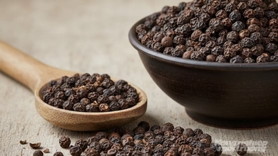 Pepparpris idag 22 november 2025: Höjt med upp till 1 500 VND