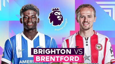 Recenzia meciului Brighton vs Brentford, ora 22:00, 22 noiembrie: Amex devine o fortăreață, „Albinele” se tem să fie departe de casă