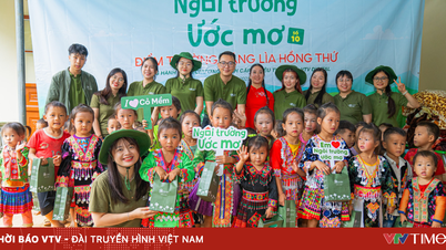 10 Jahre kontinuierliche CSR-Maßnahmen bei Soft Grass Cosmetics