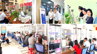 Continue to promote the implementation of the tasks of Project 06