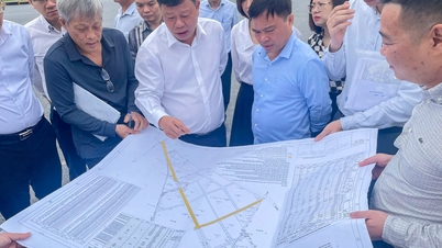 היי פונג מסירה מכשולים ומאיצה את התקדמות הבנייה של פארקי תעשייה