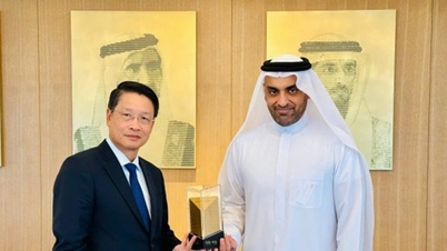 Az Egyesült Arab Emírségek azt javasolja, hogy gazdasági csoportokat kössenek össze Da Nangban a pénzügyek, a technológia és a logisztika területén történő befektetések érdekében.