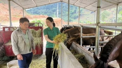 Προστατέψτε προληπτικά τα ζώα από το σοβαρό κρύο