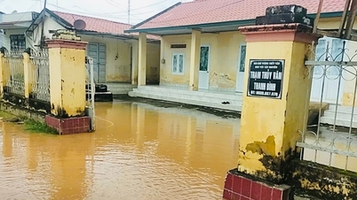 Banjir telah surut di Sungai Da Nhim, Cam Ly