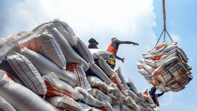 Harga ekspor beras Vietnam anjlok tajam, capai titik terendah dalam 5 tahun