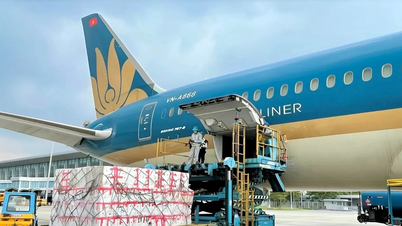 Vietnam Airlines terus mengangkut barangan percuma untuk menyokong orang ramai di kawasan yang dilanda banjir di wilayah Tengah.