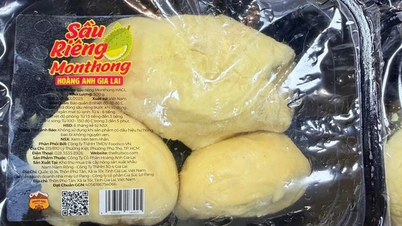 Herr Duc kommer plutselig med durian for å selge innenlands.