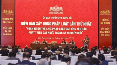 Lập pháp cần chuyển từ tư duy 'an toàn tuyệt đối' sang chấp nhận rủi ro có kiểm soát