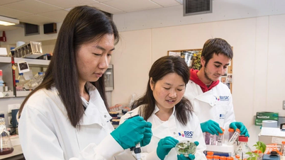 چین ڈاکٹریٹ کی تربیت کو بڑھا رہا ہے۔