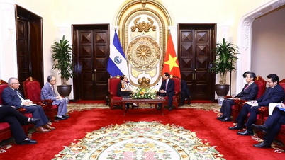 Fortalecer la amistad tradicional entre Vietnam y El Salvador