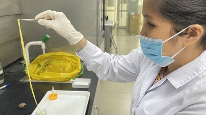 מחלה טפילית בסכנת התפרצות לאחר שנים של "שכחה"