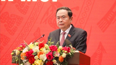 Implementer lovgivningsprosedyrer strengt, forebygge og bekjemp negativitet og gruppeinteresser resolutt.