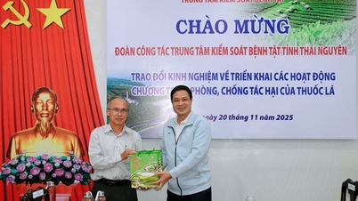 Arbeidsgruppe for Thai Nguyen CDC: Utveksling av erfaringer med implementering av programforebygging for tobakksskader i Ca Mau-provinsen