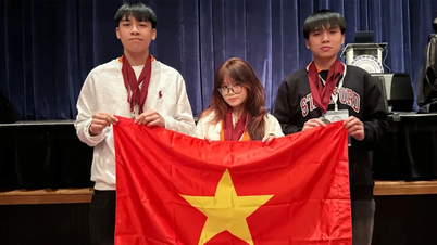 베트남 학생들이 2025년 세계학자컵 국제학술대회에서 금메달과 은메달을 획득했습니다.