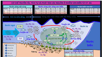 פענוח בעיית זיהום החופים בדרום