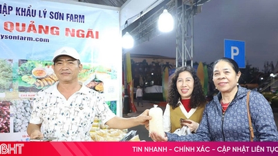 Регіональні особливості провінцій та міст «приваблюють» жителів Ха Тінь