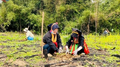 Nilai budaya ialah sumber endogen yang membantu Quang Ninh berkembang dengan cepat dan mampan.