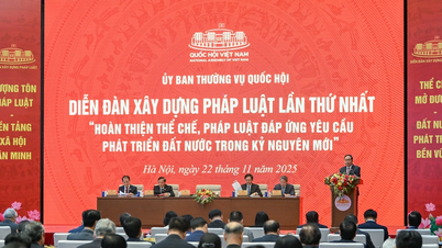 Hukuk kurumlarının rekabet avantajı ve ulusal kalkınmanın itici gücü haline getirilmesi