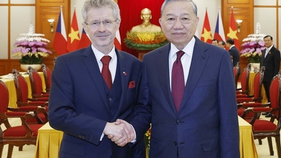 Versterking van de betrekkingen tussen Vietnam en Tsjechië