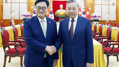 ویتنام اور کوریا کے درمیان وسیع تعاون کی ترقی کو مضبوط بنانا