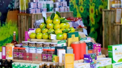 Creating momentum for OCOP Nghe An products