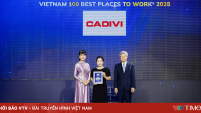 CADIVI masuk dalam jajaran Tempat Kerja Terbaik 2025, memperkuat strategi sumber daya manusia