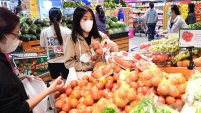 Ціни на овочі високі, чи можна замість них додати інші продукти?