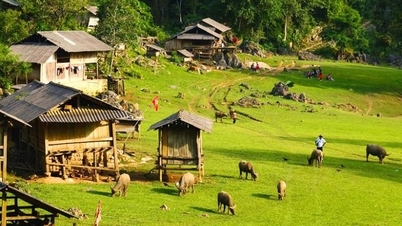 Stories from the Mong village - culture in the great wilderness | Colors of ethnic groups | VTV