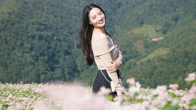 Vizitatorii platoului stâncos ascultă povești despre stânci în mijlocul sezonului florilor de hrișcă.