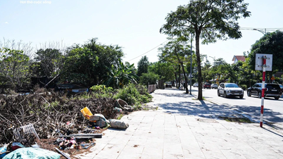 Nézze meg Hanoi nyugati részén található park és vízizenei tér földjét