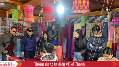 オフシーズンの青い海と大森林の観光を結びつける