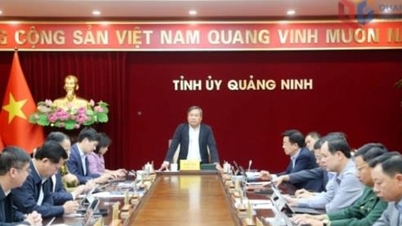 Ο Κουάνγκ Νιν επικεντρώνει όλες τις προσπάθειές του στην επείγουσα υποστήριξη της επαρχίας Λαμ Ντονγκ για την αντιμετώπιση των συνεπειών των πλημμυρών.