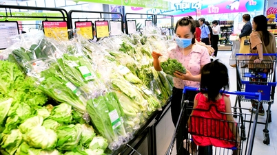 سیلاب کے دباؤ کے باوجود سبزیوں اور اشیائے خوردونوش کی قیمتوں میں استحکام