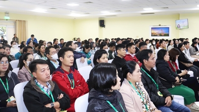 بهبود کیفیت درمان سکته مغزی در دانانگ