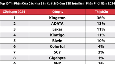 킹스턴, 2024년까지 SSD 채널 출하량 선두