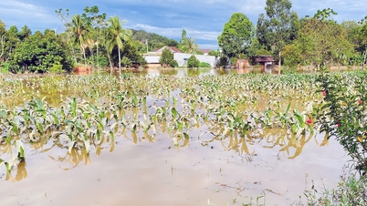 Dong Nai arra kéri Lam Dongot, hogy koordinálja a víztározók árvízi kibocsátásával kapcsolatos információk szolgáltatását.