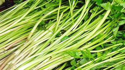 តើ​មនុស្ស​ដែលមាន​អាស៊ីត​អ៊ុយ​រិ​ក​ខ្ពស់​គួរ​ញ៉ាំ​អ្វី​?