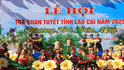 لاؤ کائی صوبے میں شان تویت ٹی فیسٹیول کا افتتاح