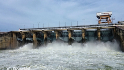 ด่งนายขอให้โรงไฟฟ้าพลังน้ำ 17 แห่ง แจ้งข้อมูลการระบายน้ำท่วมโดยด่วน