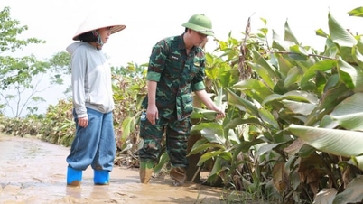 Lao Cai: Conversia structurii culturilor pentru adaptarea la condițiile de inundații